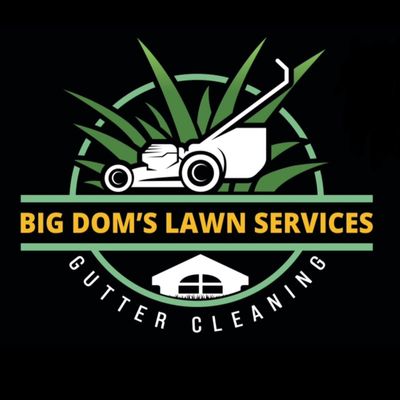 Avatar for Big Dom’s Lawn Services & Gutter cleaning