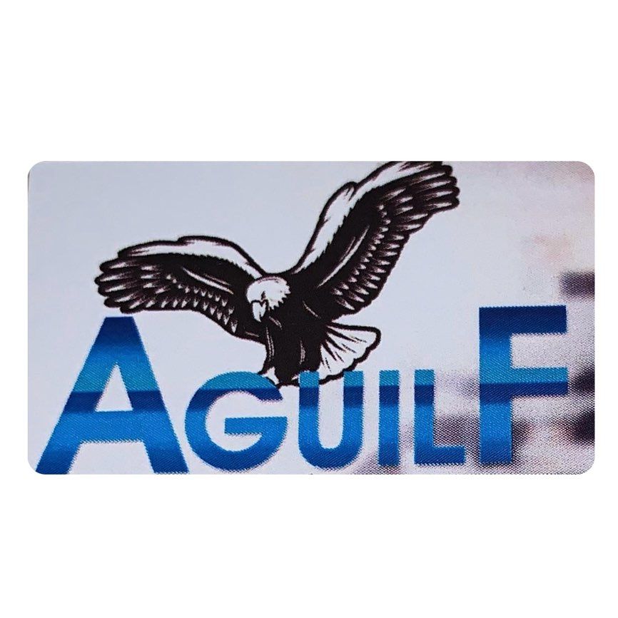 Aguilf Painting