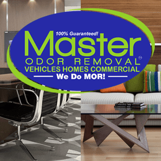 Avatar for Master Odor Removal - Utah