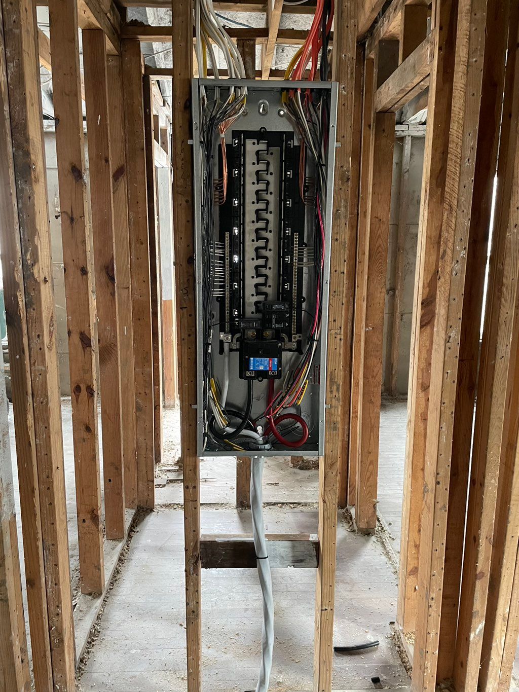 Projects and media