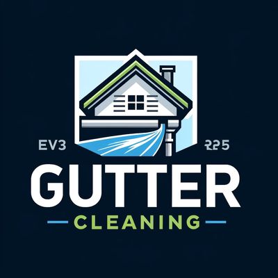 Avatar for Gutter cleaning