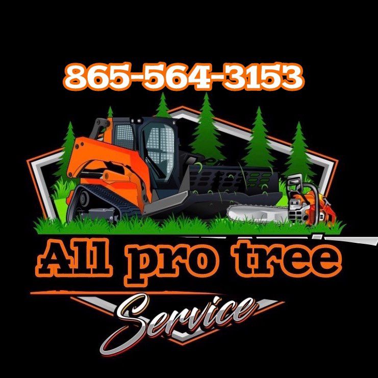 All pro tree service