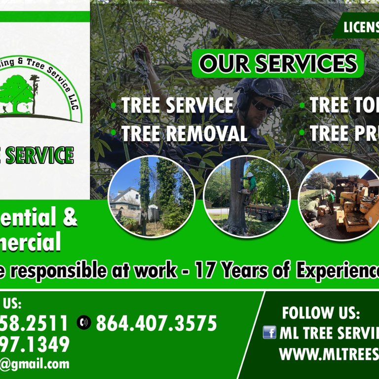 ML  Tree Servicellc local