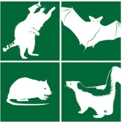 Avatar for Wildlife Removal Services