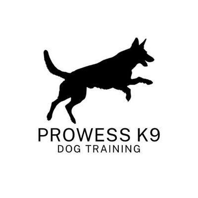 Avatar for Prowess K9