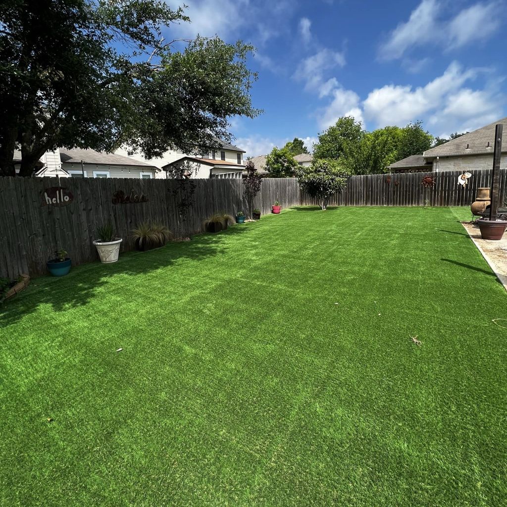 Backyard. New Turf.