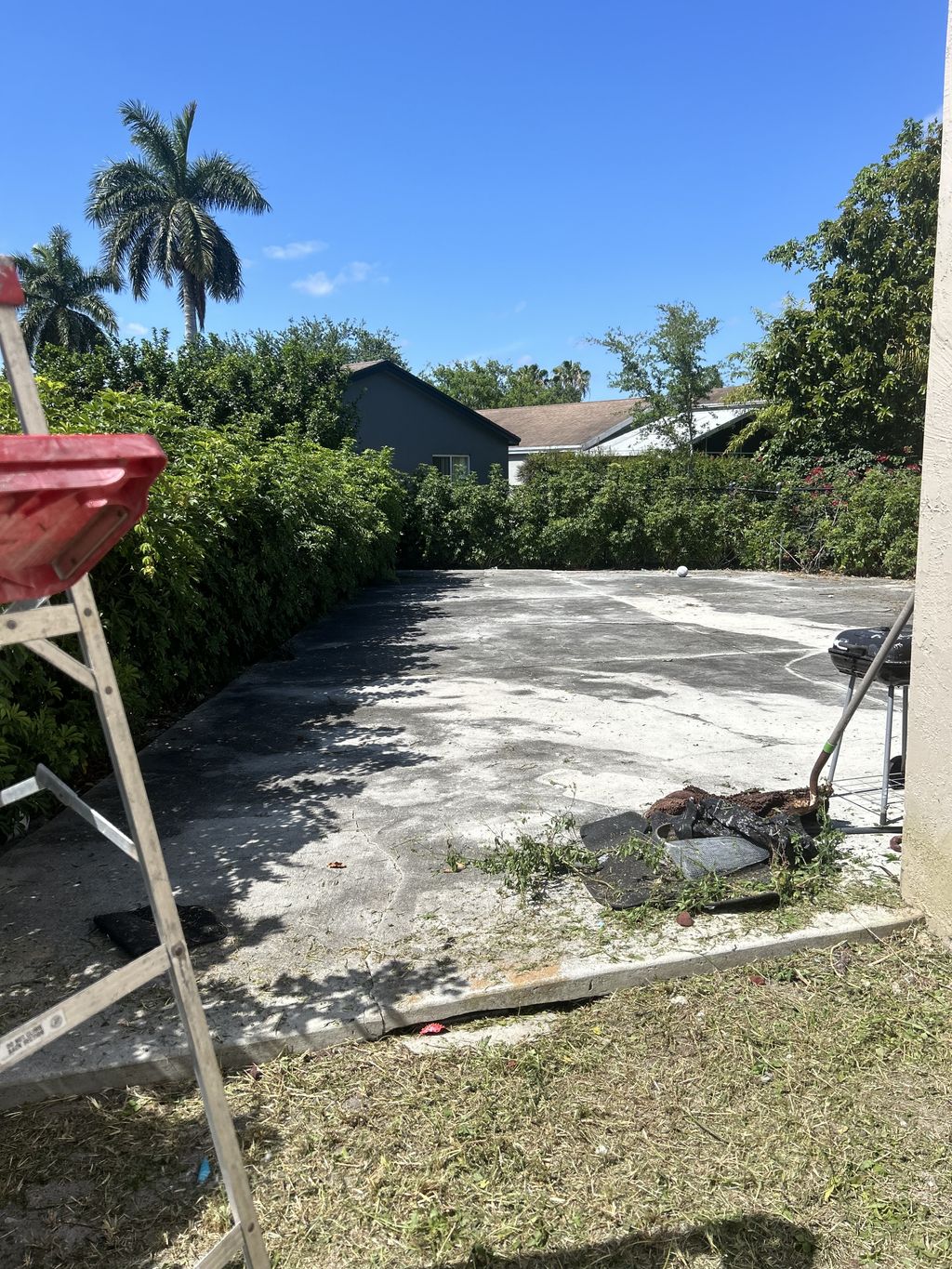 Shrub Trimming and Removal