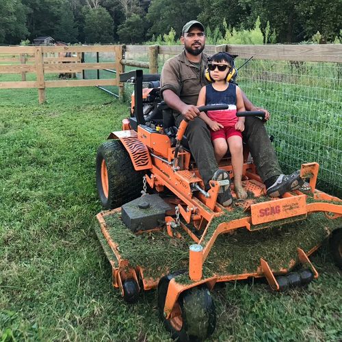 Pepe lawns and trees