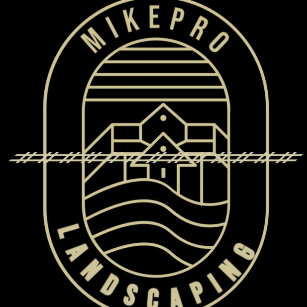 MikePro services
