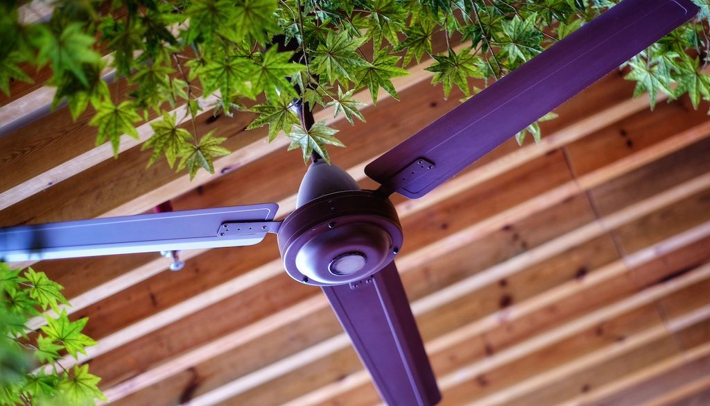 painted purple ceiling fan