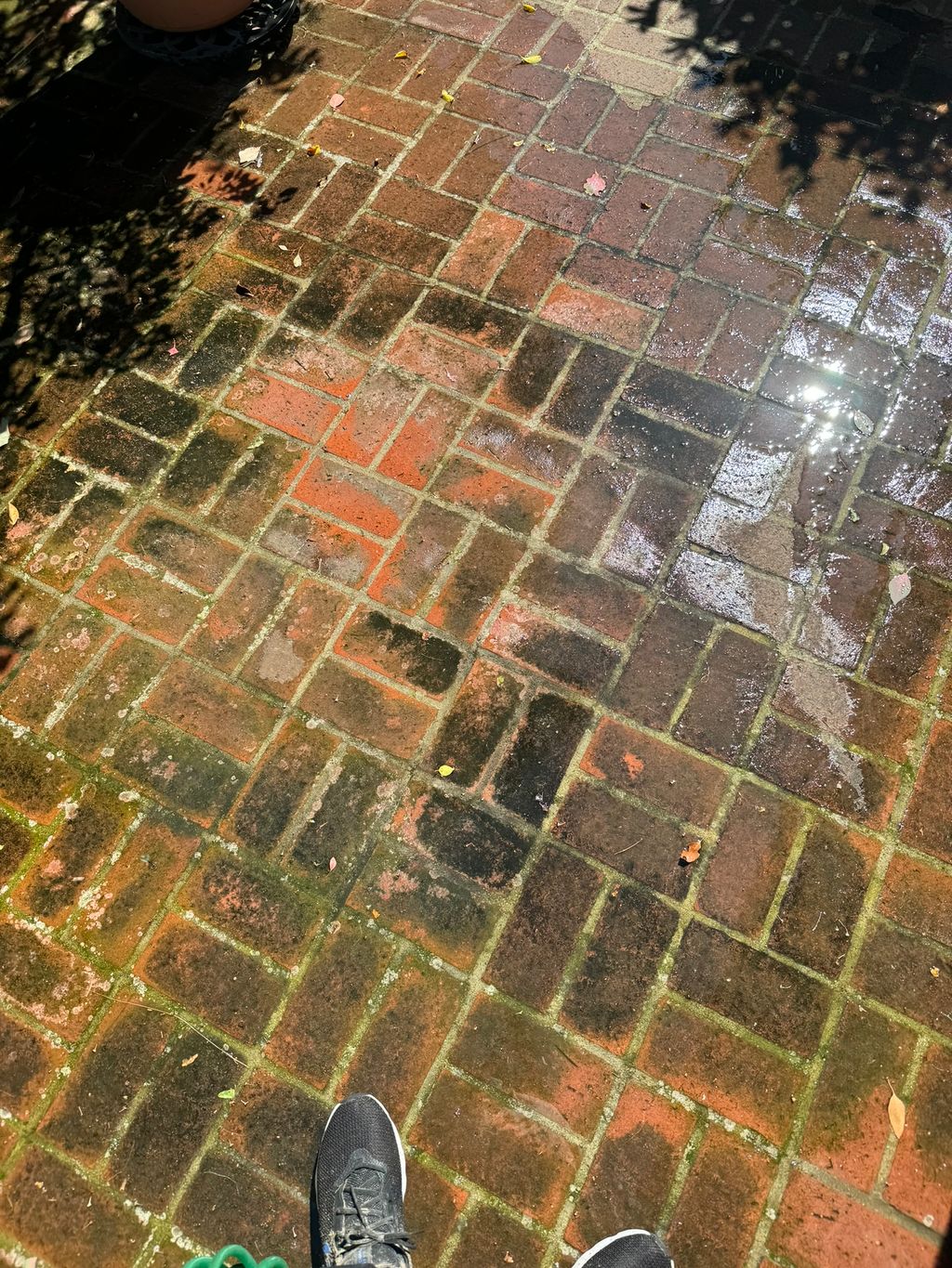 Culver City patio Before