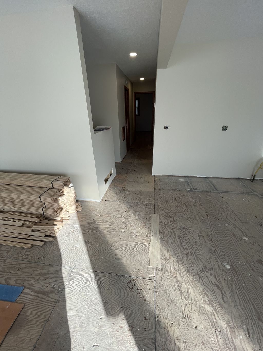 Projects and media
