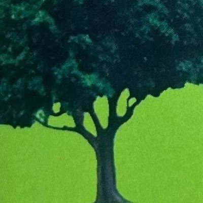 Avatar for Hernandez tree service