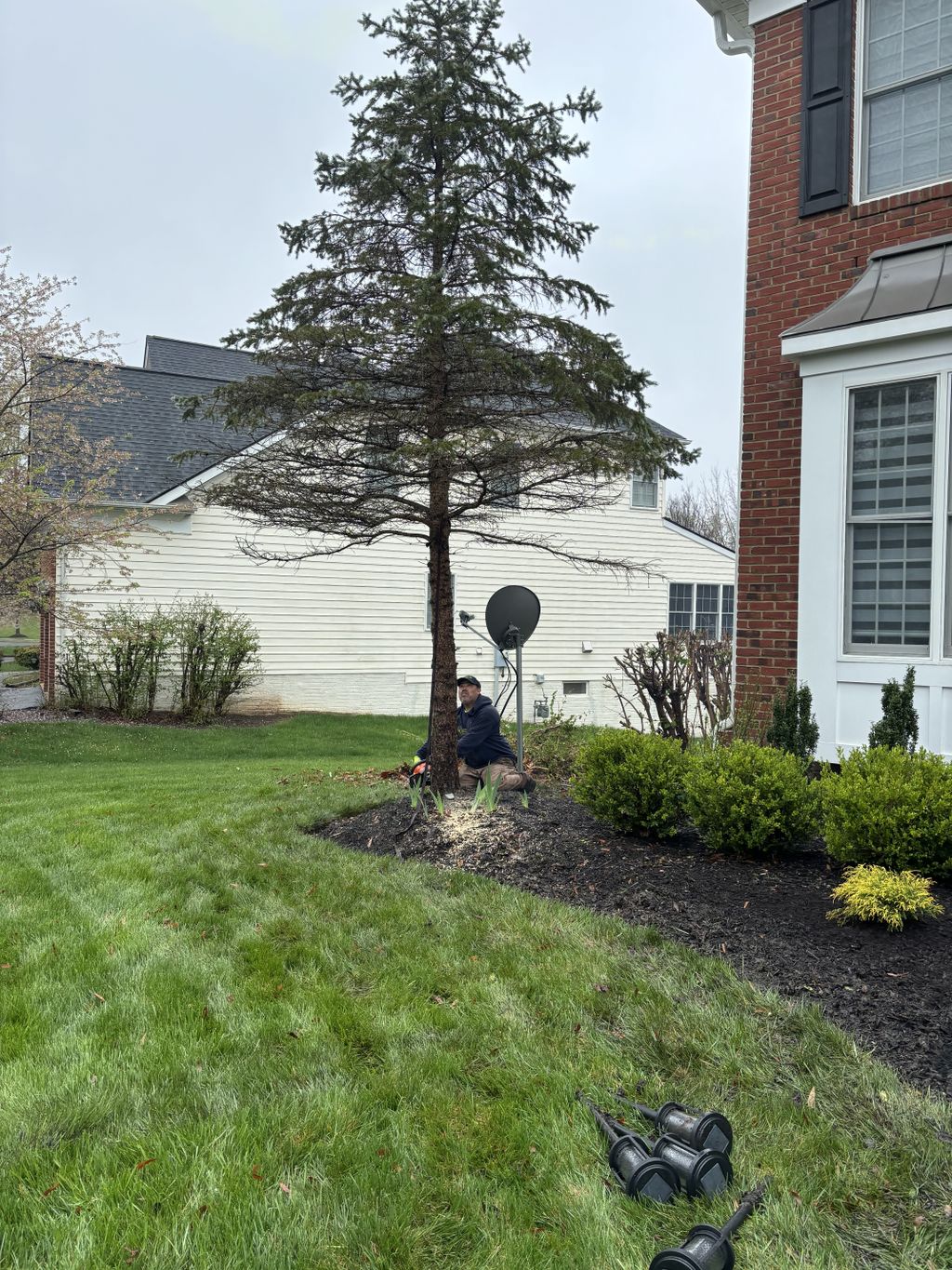 Full Service Lawn Care