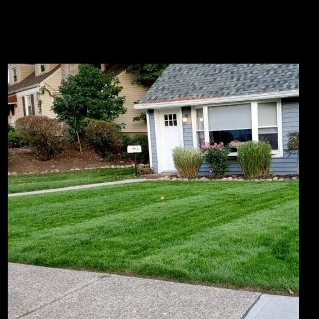 Full Service Lawn Care project from 2024
