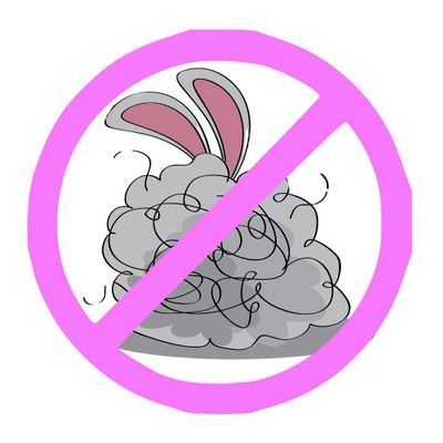 Avatar for Dustbusterqueens Cleaning LLC