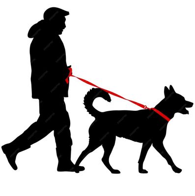 Avatar for A Dog Walker