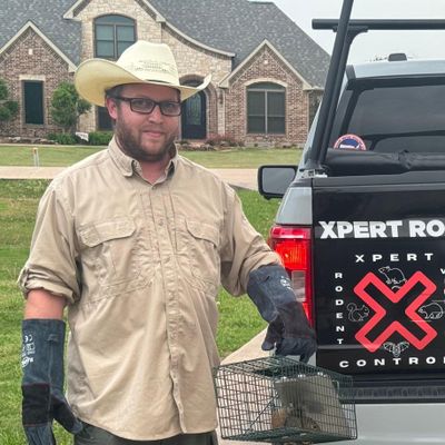 Avatar for Xpert Rodent and Wildlife Control