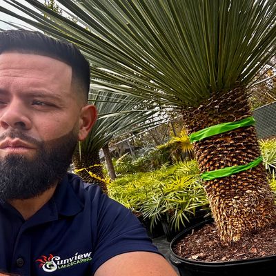 Avatar for Sunview Landscaping