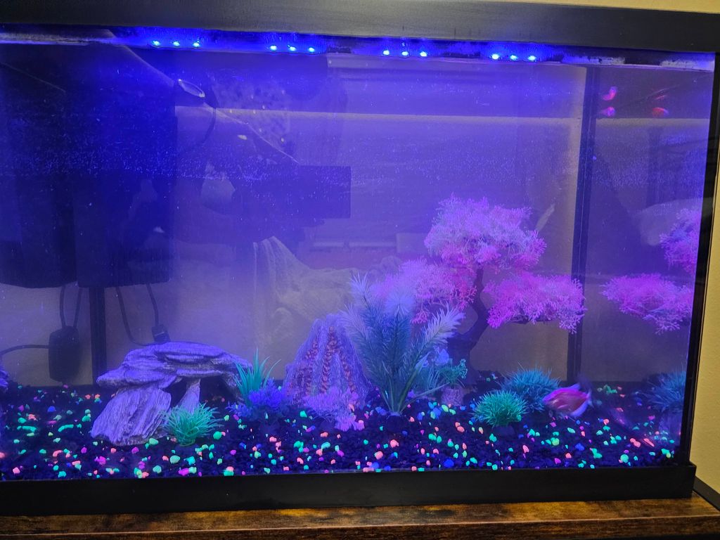 After with night lights on