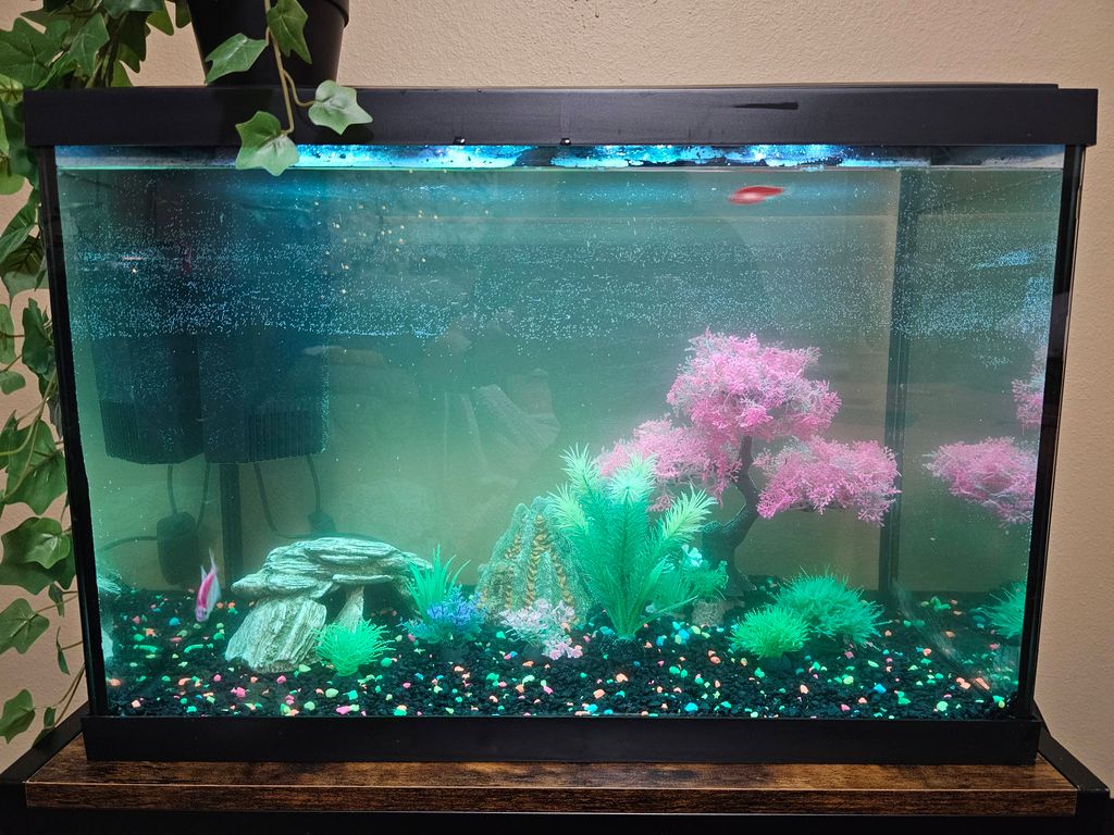 After with day lights on