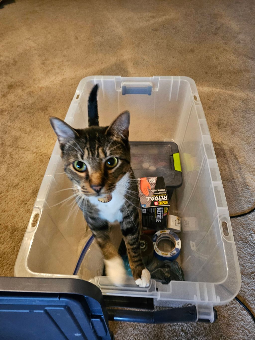 One of our employees