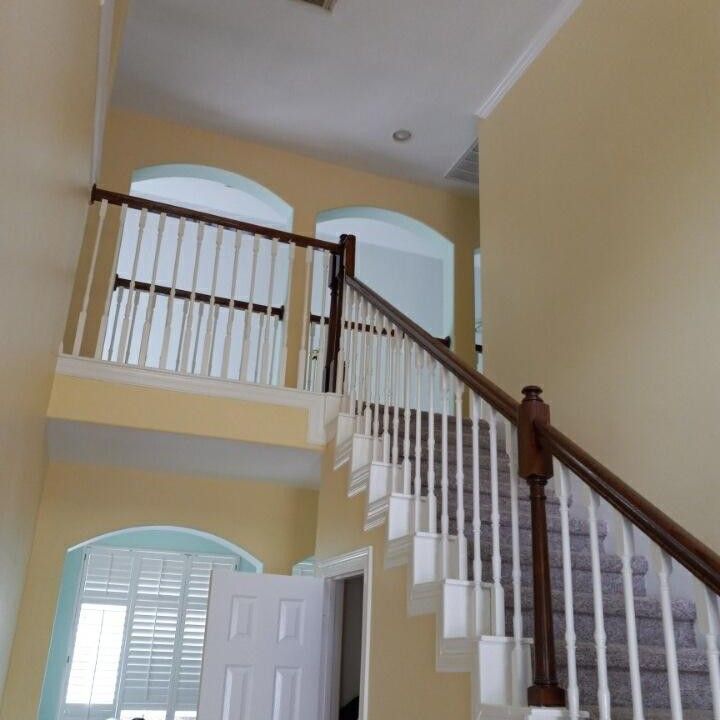 paintpros and remodeling plus cleaning services
