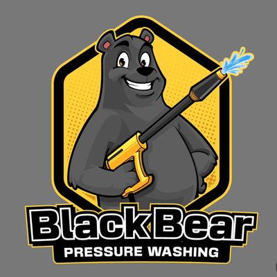 Avatar for Black Bear Pressure Washing