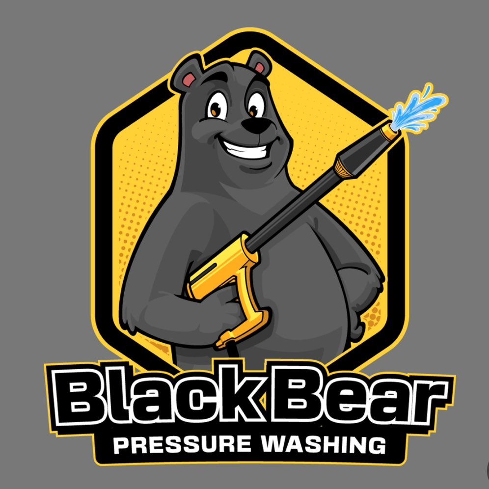 Black Bear Pressure Washing