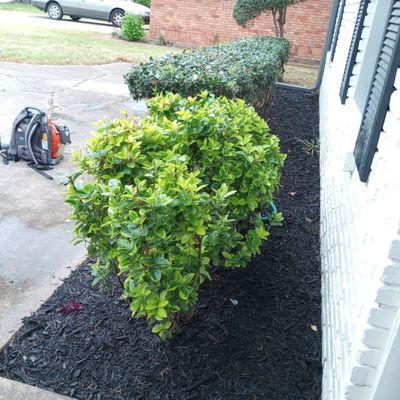 Avatar for Oswaldo Landscaping Services