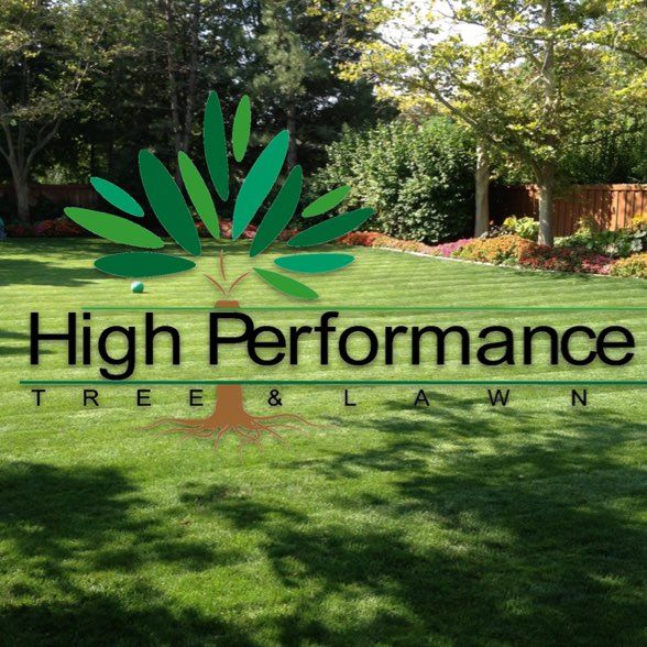 High Performance Tree & Lawn