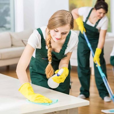 Avatar for SAFCARJA CLEANING SERVICES