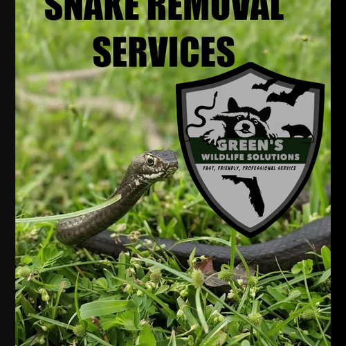 Snake Services