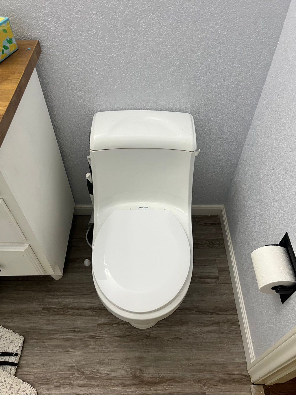 Old Toilet Before Replacement Installation 