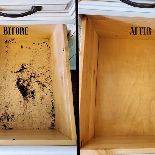 Before and After deep clean of the inside cabinets