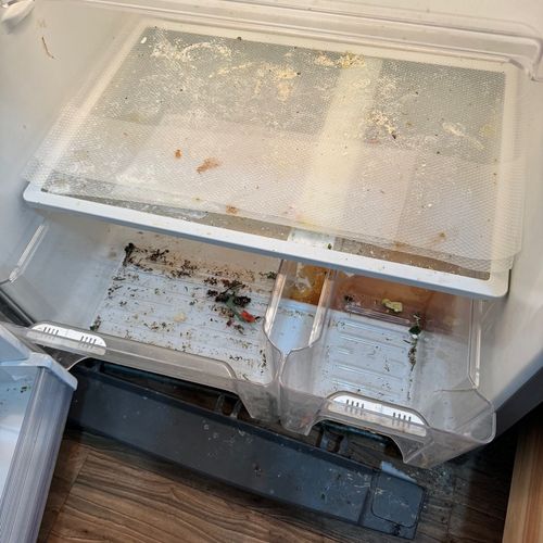 inside fridge- before cleaning