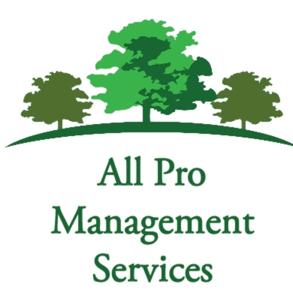 All pro management services