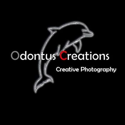 Avatar for Odontus Creations Photography