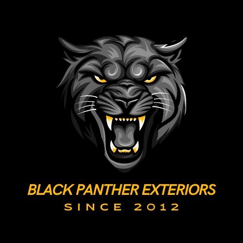 Black Panther Exteriors