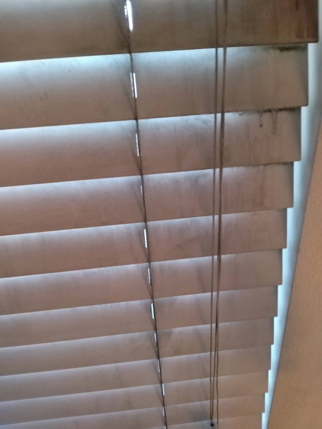 DUSTY BLIND'S NO PROBLEM 