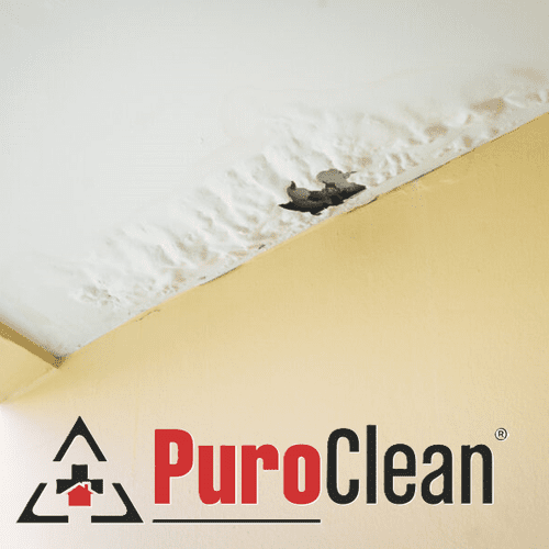 Ceiling damage from a roof leak can cause water da