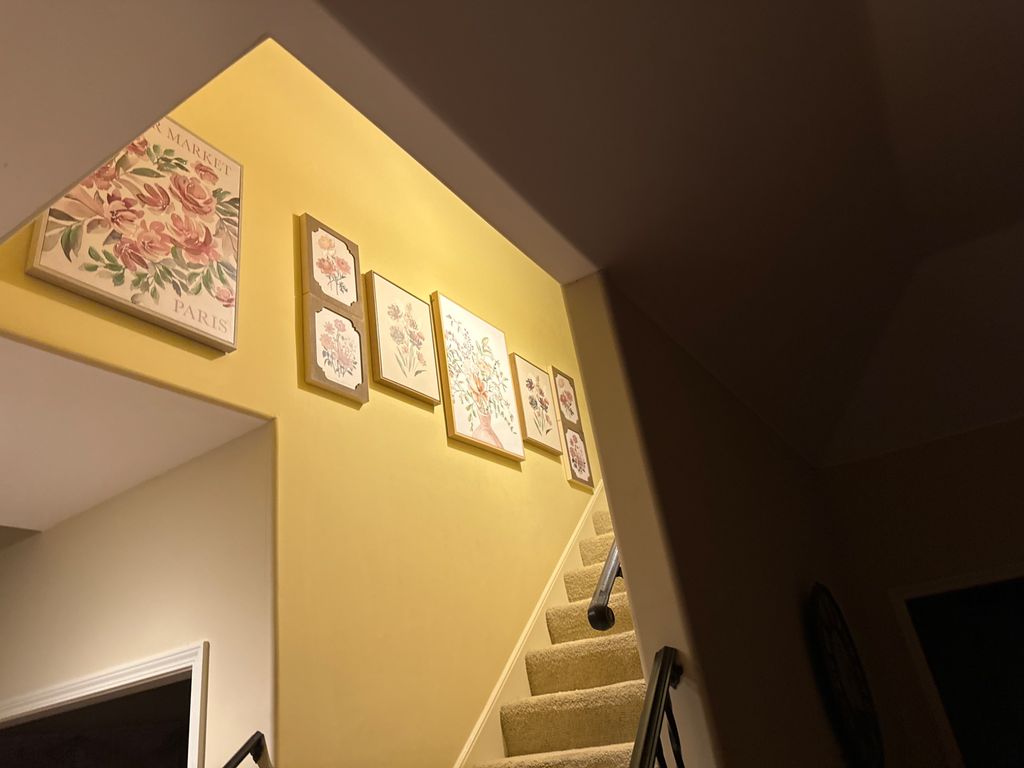 Customer photos