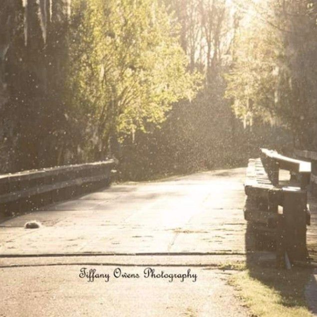 Tiffany Owens Photography & More