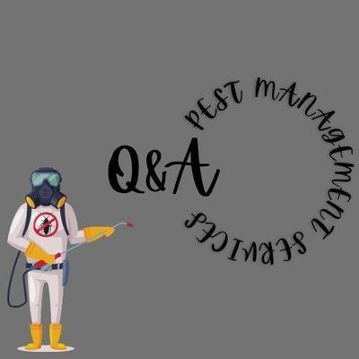 Avatar for Q&A PEST MANAGEMENT SERVICES