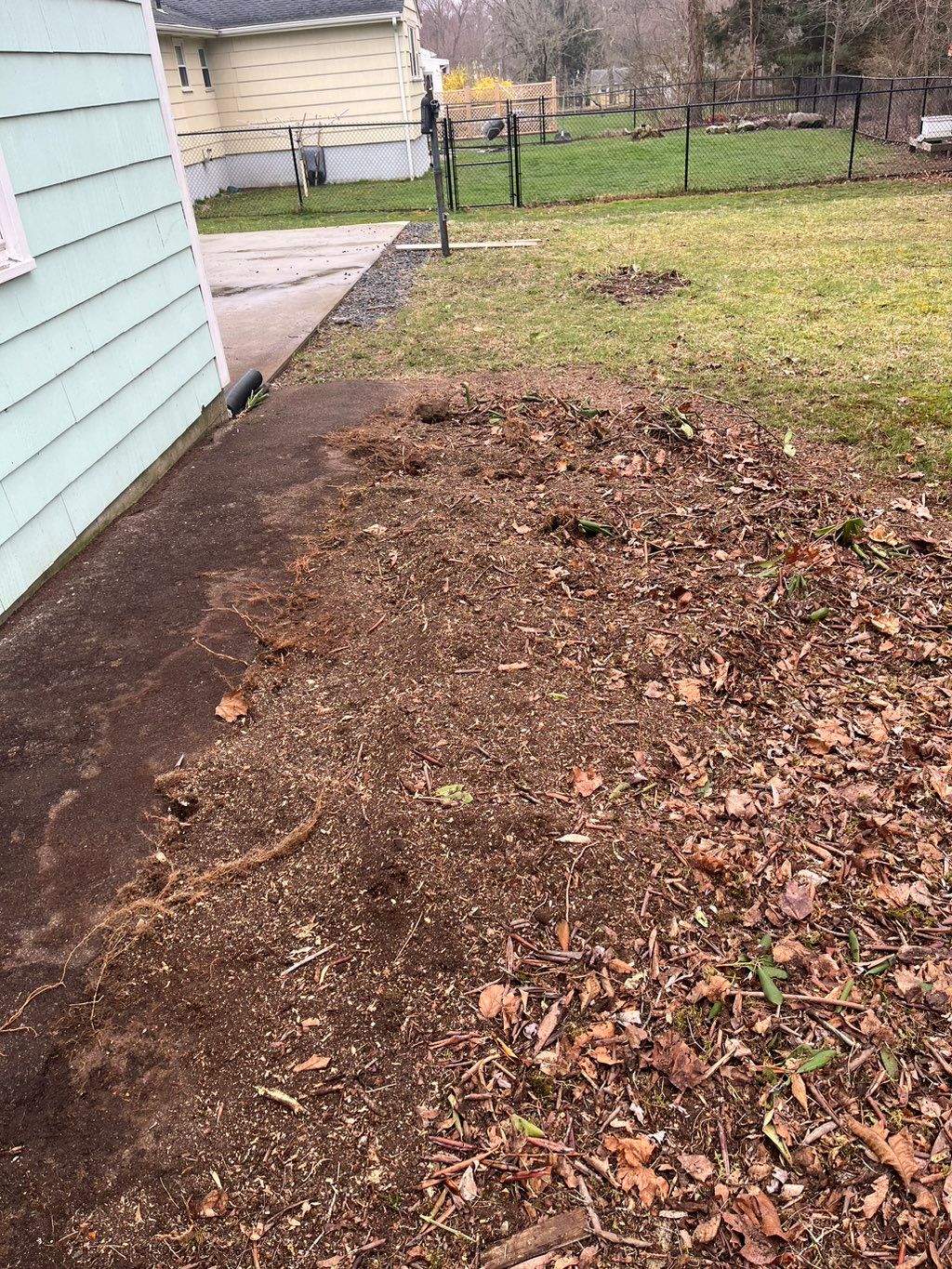 Rhododendron stumps all cleaned up 2of6