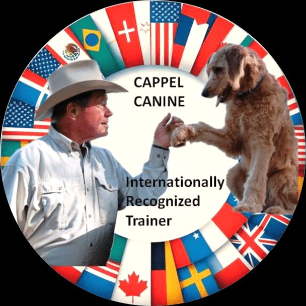 Cappel canine