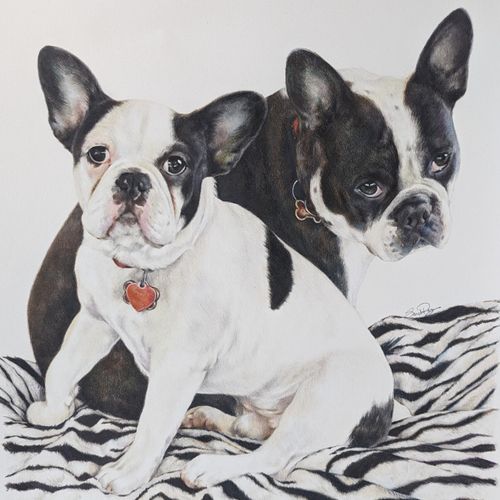 Colored Pencil of Frenchtons