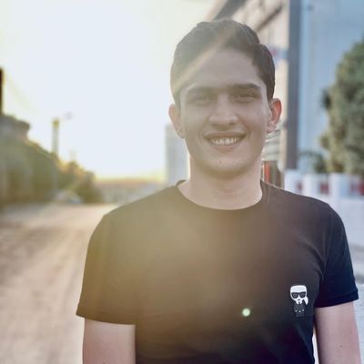 Avatar for Professional Christmas lights installation