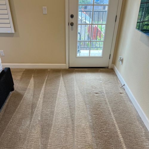 I recently hired a professional carpet cleaning se
