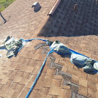 Avatar for Roofing